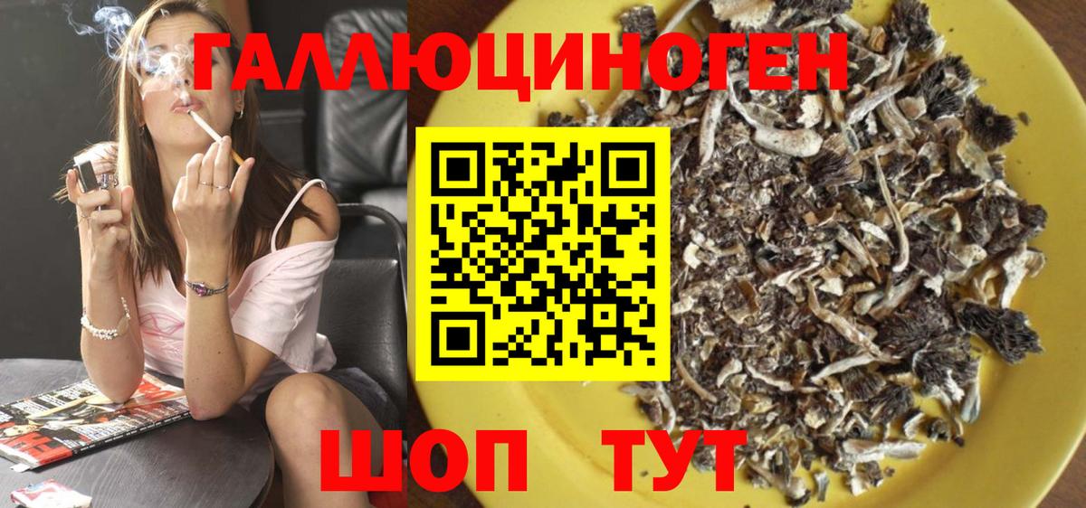 Псилоцибиновые грибы Cubensis Самара